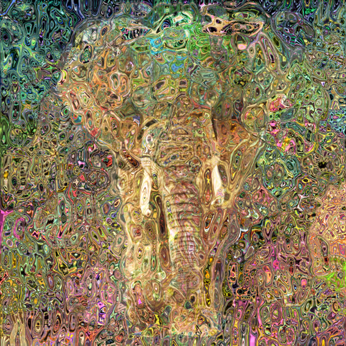 Elephant Distortion #1