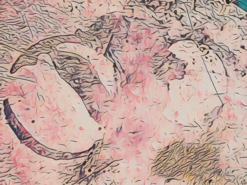 Item #33489201772139454524030938762040669258263543807464770779456338474384857497603 Media