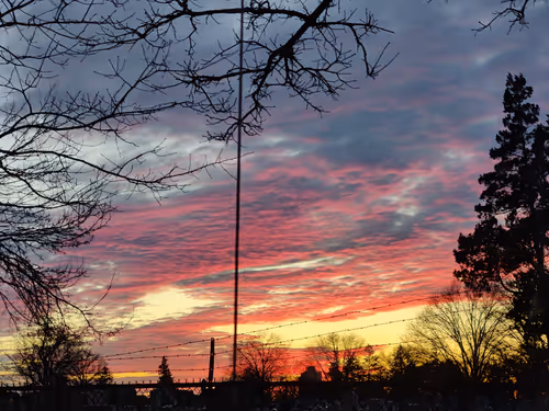 Item #113566754720347933225688974314529354752946708137919770762925758016906160242689 Media