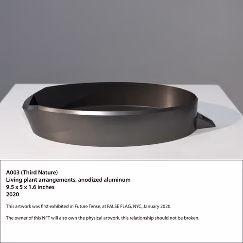 Item #83435666504341881296030561699615513128412254690065826404636841621364141981697 Media