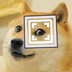 The Bitcoiner