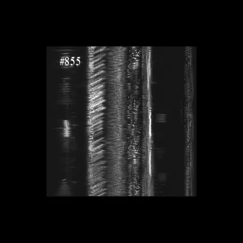 Item #43939955971694368961434358164711021081057237677410347264159755628282638237697 Media