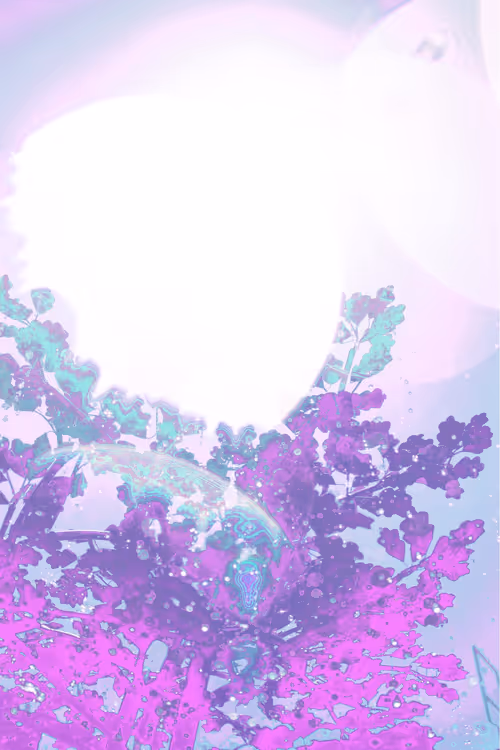 Item #27434377377013038178664737441891876800279773627045091571206927091222167158785 Media