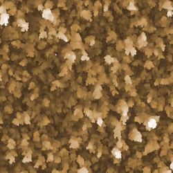 64919626105503197945610844174432346243809726585533720219009264677246111580161