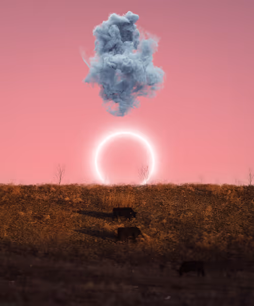 Item #32827042511948826872324468715396382654491318328584451674488605451312949100545 Media