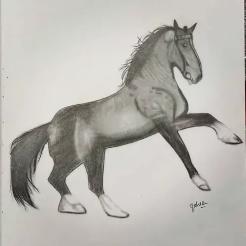 Item #55986617302409629486759846259040043364516686795130712673458847404683624972289 Media