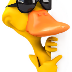 yeduck