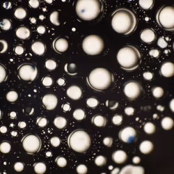 9251341193756129610411101804839683921415719585297066577807806944716076875777