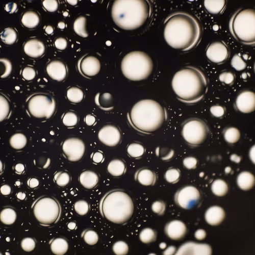 9251341193756129610411101804839683921415719585297066577807806944716076875777