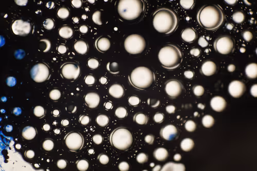 Item #9251341193756129610411101804839683921415719585297066577807806944716076875777 Media