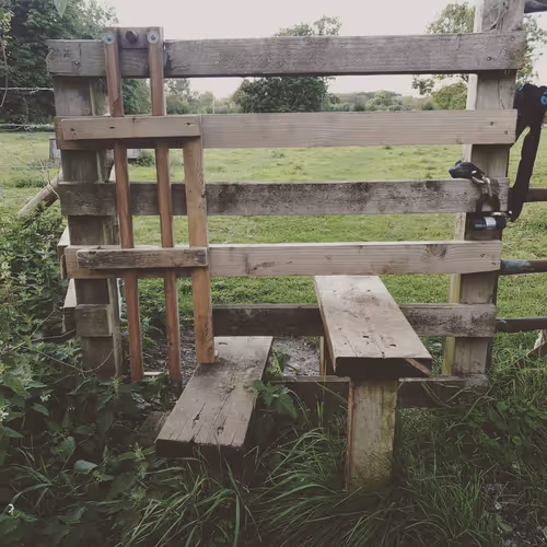 Item #105237010342582609876748436582366170093723610565651913513256945303975565983745 Media