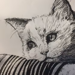 Melancholy