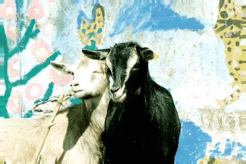 Item #114043227085823410511563149083045456933381279232142212150263608047988660764673 Media