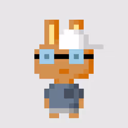 73978788317134686033217223956470569767235786025801709901549439654964796325889