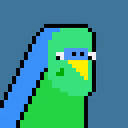 Budgie #290