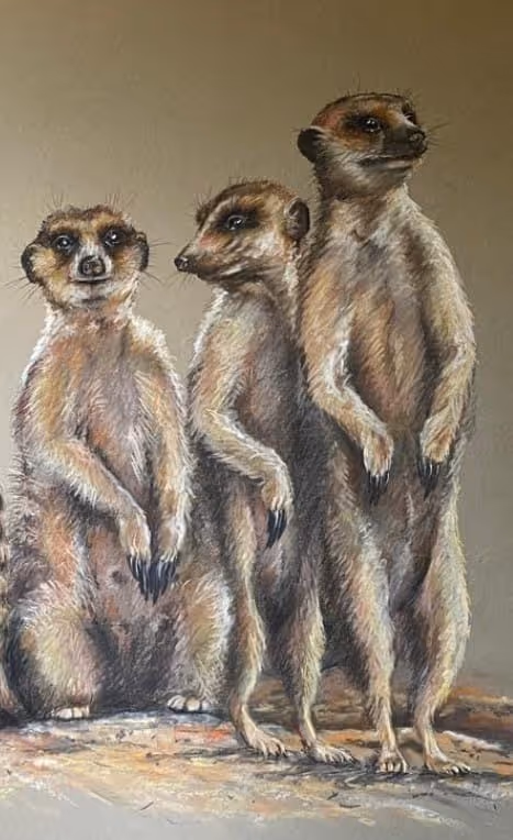 Item #4288309145407295523431116215122397111529594114986911850026632781559620436018 Media