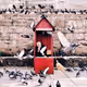 Palette_SH