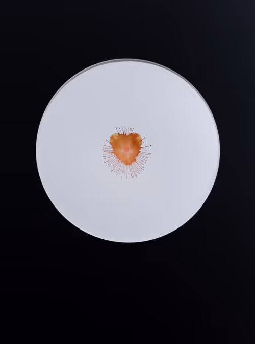 Item #5933605861827810115765458697871522694083350793229885744995134264904060502039 Media