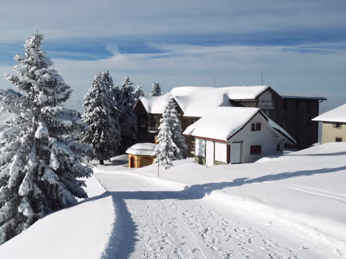 Item #57616968774937305667495645743759075996351860147408322149889343977763710697473 Media