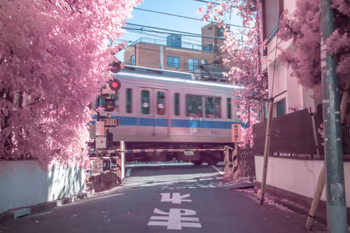 Item #51038767389134457626930617169090287934471579480777975785156342693155615801345 Media