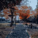 Effect_camera Collection