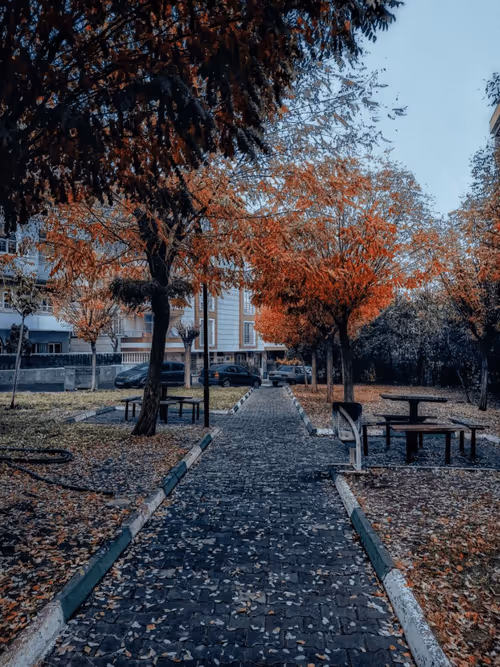 Item #75869817590340460685317939374360076253263101056567316776239183283242468900865 Media