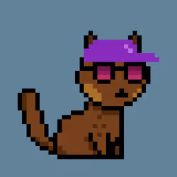 PunkCat #6623