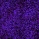 944858660688572096584618472555991747686703840338442188877309716009221881857