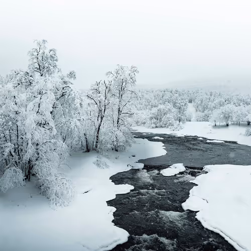 Frozensilence S3h2ODH2c6