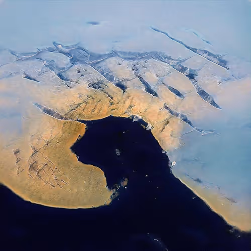 Motherland - Synthetic Nature series / Artificial Intelligence Paintings / RAW GAN edition