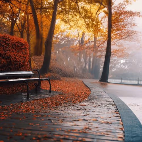 Item #10667236517764923429931490748362465993743356875077645433148622127784509046785 Media