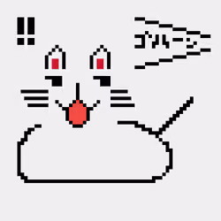cat #11