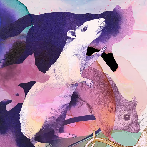 Item #5629565881579368983166495237263344266879989081391391318443702099383192387585 Media