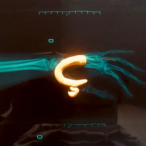 Item #42502377884493822439484110895335049498054174976923948741203377792178972524545 Media