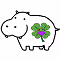 Lucky Hippo