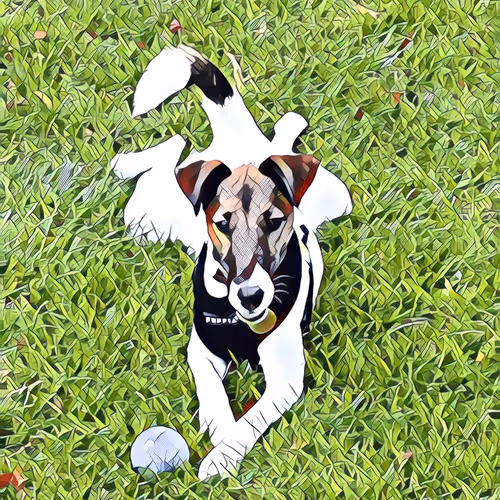 Item #108767824984107427306239065059911638745749785478323690674921709027789046284289 Media