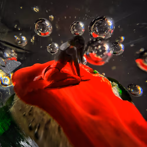 La Rosa