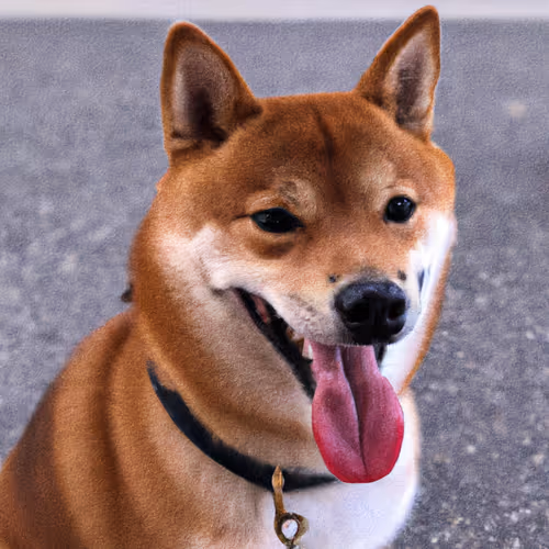 Item #34470142884482375674331152583341387110725961593908059002011227514763548295169 Media