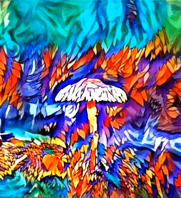 Item #98828088198769885069129805652987605738903563667474416042030428843404609716225 Media