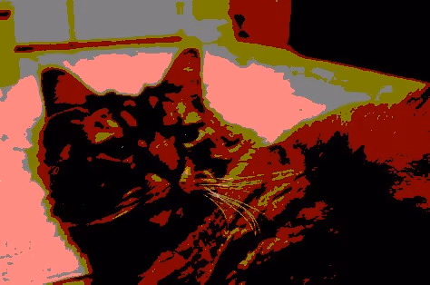 Item #23538819986925566434507765811444276093104658907602947149672917438365440147457 Media