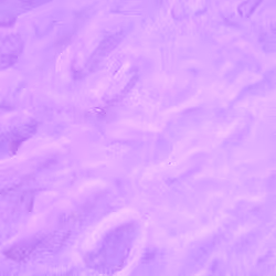 98843954857266856101330559780238873570552098425130206222908041915400217165825