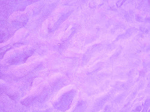 Item #98843954857266856101330559780238873570552098425130206222908041915400217165825 Media