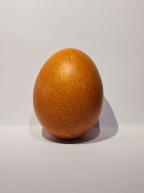 Item #17683800304600062908043897269454280992367193486295578213954005479947166023681 Media