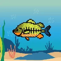 Etherfish #147