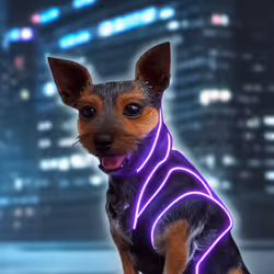 50214656762829440402362438476572498513879931727410398523828665819896943214593