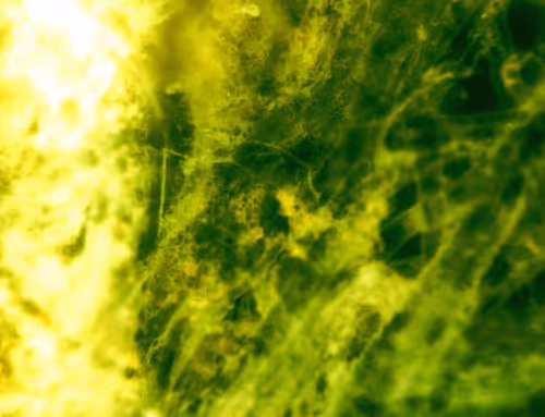 Item #71646257518770613568983710813551014237803002136866425209291834377038284718081 Media