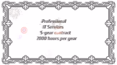 IT Professional Services