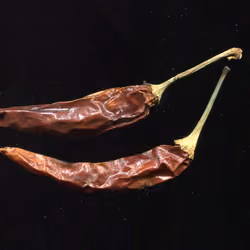 Chilz in Space