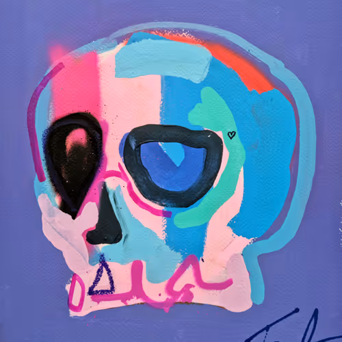 Memento Mori 100 Skulls By Tim Fowler