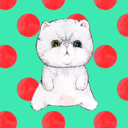 KITTEN#001